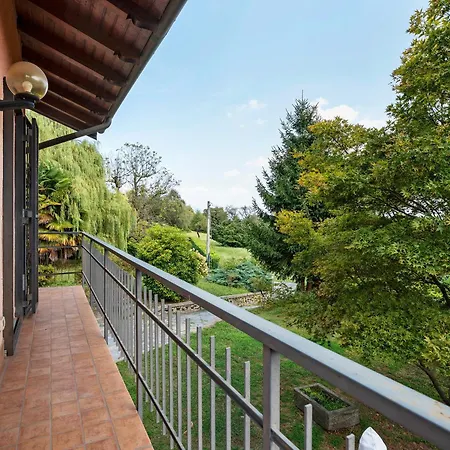 Unique View In Park *