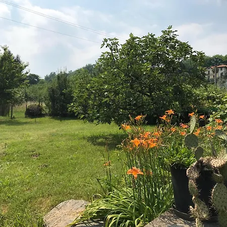 Unique View In Park * Nebbiuno