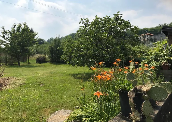 Unique View In Park * Nebbiuno